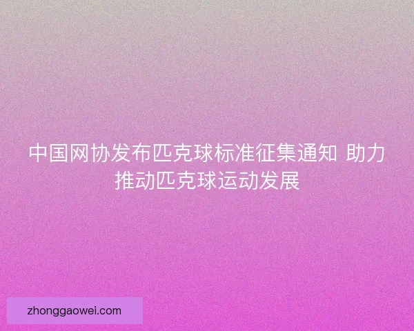 中国网协发布匹克球标准征集通知 助力推动匹克球运动发展