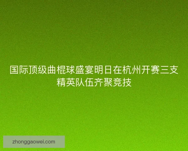 国际顶级曲棍球盛宴明日在杭州开赛三支精英队伍齐聚竞技